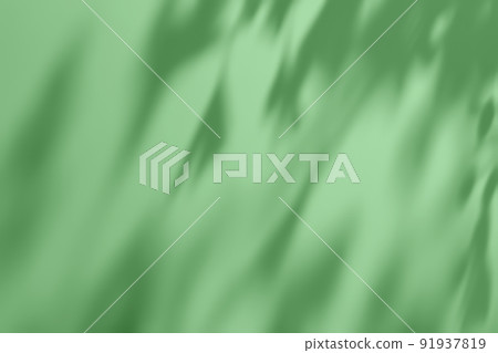 Shadow of leaves on green concrete wall texture background 91937819