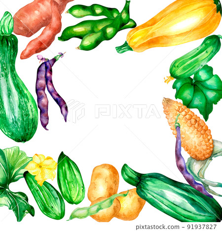 Variety of vegetables frame watercolor illustration isolated. 91937827