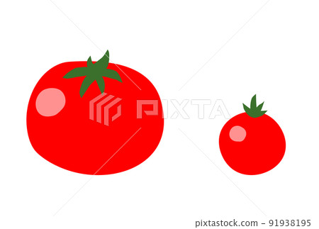 Tomatoes and mini tomatoes 91938195
