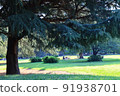 Metropolitan Hikarigaoka Park 91938701