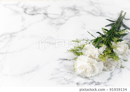 鮮花：白色康乃馨獻花圖片 91939134