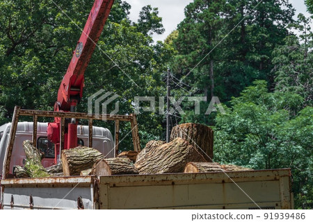 Truck loaded with thinned wood from forests Truck loaded with thinned wood from forests 91939486
