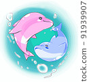A couple dolphins swimming in the water 91939907