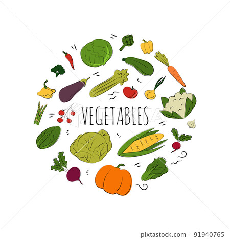Vegetable set. Vector flat illustration. Vegetarian concept 91940765