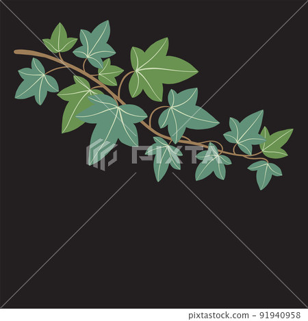 Simplicity ivy freehand drawing flat design. Simplicity ivy freehand drawing flat design. 91940958