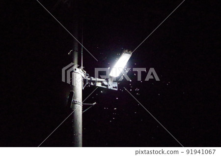 夏季夜間戶外場景的高靈敏度圖像，許多昆蟲在電線桿上安裝的燈周圍成群結隊。 91941067