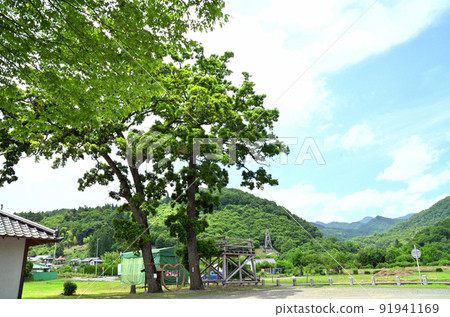 埼玉縣秩父市下吉田 武神社 埼玉縣秩父市下吉田 武神社 91941169