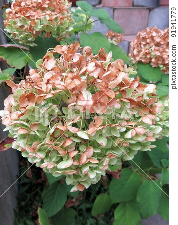 Sunburn Sunburn 91941779