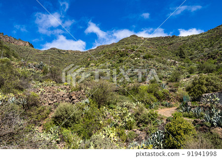 Amazing View on Barranco de Guayadeque, Gran Canaria, Canary Island, Spain, Europe Amazing View on Barranco de Guayadeque, Gran Canaria, Canary Island, Spain, Europe 91941998