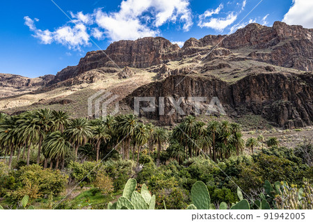 Rocky landscape of the Palm valley at Arteara in Gran Canaria island, Spain. Rocky landscape of the Palm valley at Arteara in Gran Canaria island, Spain. 91942005