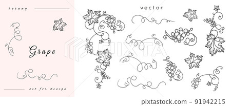 Handmade grapes, berries from leaves and branches of curls. Set of close-up vines, leaves, berries. Vintage engraving for designer wine. Black and white pictures on a white background. 91942215