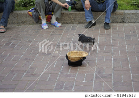 Beggars begging money using mini pig performing tricks, hat placed on the pavement. Kyiv, Ukraine Beggars begging money using mini pig performing tricks, hat placed on the pavement. Kyiv, Ukraine 91942618