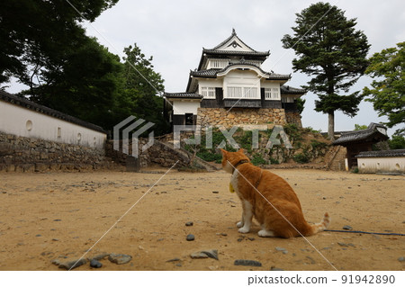 Bichu Matsuyama Castle Sanjuro 91942890