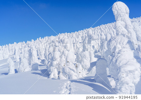 Moriyoshi mountain rime (snow monster) Japan's three major rime trees Akita sightseeing 91944195