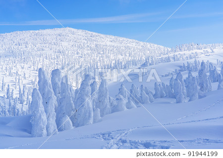 Moriyoshi mountain rime (snow monster) Japan's three major rime trees Akita sightseeing 91944199