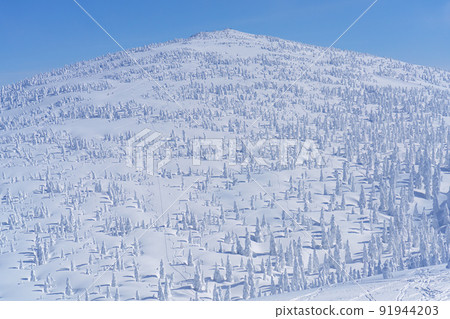 Moriyoshi mountain rime (snow monster) Japan's three major rime trees Akita sightseeing Moriyoshi mountain rime (snow monster) Japan's three major rime trees Akita sightseeing 91944203