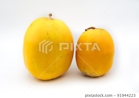 白色背景上的兩個黃色瓜 91944223
