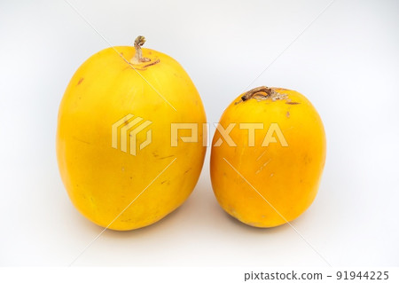 Two yellow melons on a white background Two yellow melons on a white background 91944225