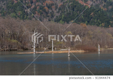 Kamikochi and Taisho Pond in autumn 91944474
