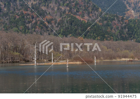 秋天的上高地和大正池 秋天的上高地和大正池 91944475