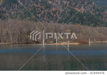 秋天的上高地和大正池 秋天的上高地和大正池 91944476