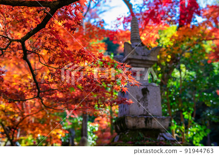 Autumn leaves that color the stone pagoda and its surroundings as seen at Eikando (Zenrinji) in Kyoto in autumn Autumn leaves that color the stone pagoda and its surroundings as seen at Eikando (Zenrinji) in Kyoto in autumn 91944763