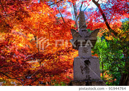 Autumn leaves that color the stone pagoda and its surroundings as seen at Eikando (Zenrinji) in Kyoto in autumn 91944764