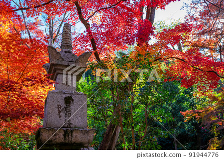 Autumn leaves that color the stone pagoda and its surroundings as seen at Eikando (Zenrinji) in Kyoto in autumn Autumn leaves that color the stone pagoda and its surroundings as seen at Eikando (Zenrinji) in Kyoto in autumn 91944776