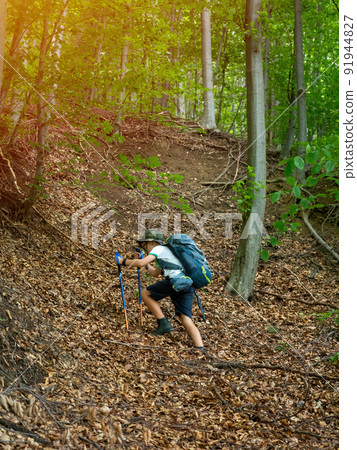 Happy boy with backpack and trekking sticks hiking in mountain forest Happy boy with backpack and trekking sticks hiking in mountain forest 91944827