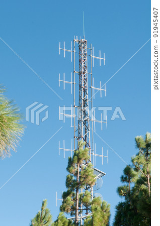 communications antennas in the middle of a forest communications antennas in the middle of a forest 91945407