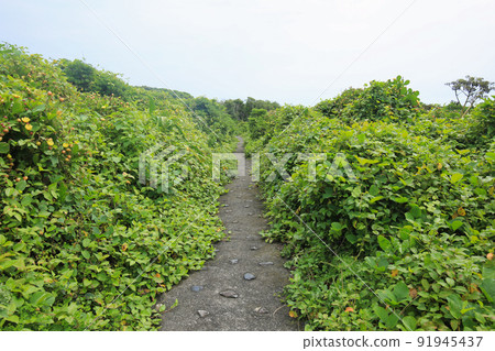 Muroto Misaki Promenade, Muroto City, Kochi Prefecture 91945437