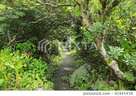 Muroto Misaki Promenade, Muroto City, Kochi Prefecture 91945439