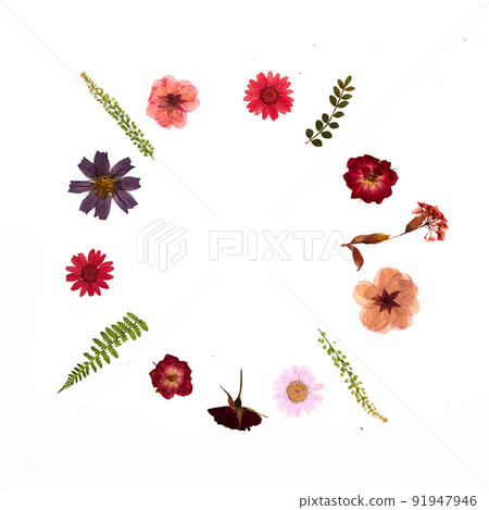 Frame from pressed and dried summer flowers 91947946