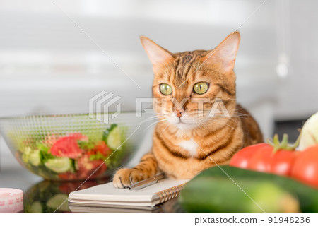 Bengal cat close-up with a notepad, vegetables and a centimeter tape. 91948236
