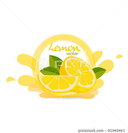 fresh lemon vector 91948461