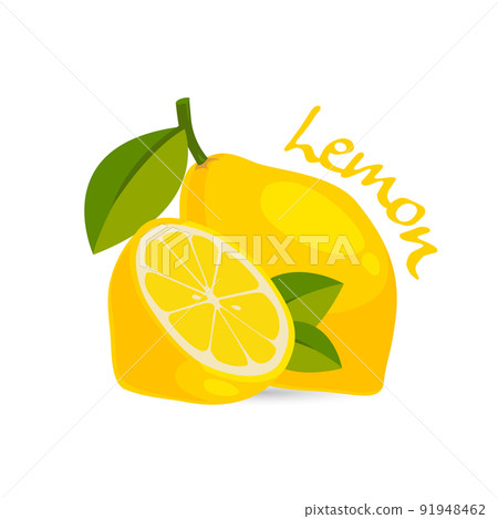 fresh lemon vector 91948462