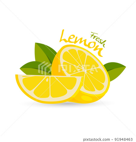 fresh lemon vector fresh lemon vector 91948463