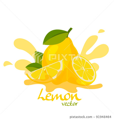 fresh lemon vector fresh lemon vector 91948464