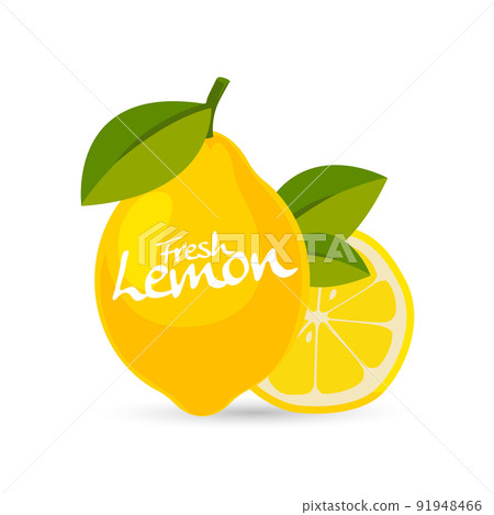 fresh lemon vector fresh lemon vector 91948466