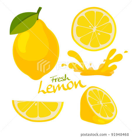 fresh lemon vector fresh lemon vector 91948468