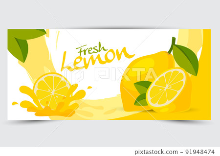 fresh lemon vector fresh lemon vector 91948474