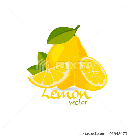 fresh lemon vector fresh lemon vector 91948475