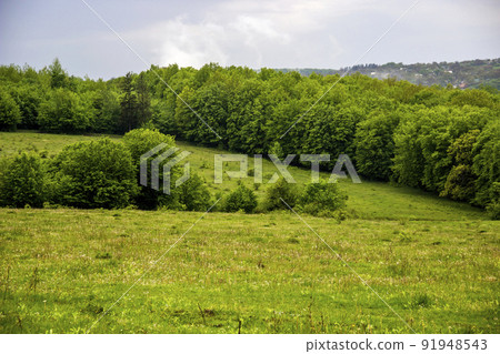 a wide green meadow a wide green meadow 91948543