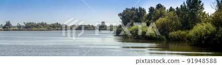 landscape of the lake in the Ukrainian part of the Danube Delta 91948588