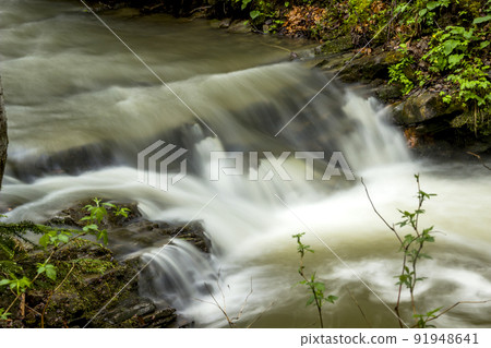 a forest river a forest river 91948641