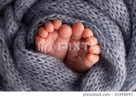 Soft feet of a newborn in a blue woolen blanket. Close-up of toes, heels and feet of a newborn baby.The tiny foot of a newborn. Studio Macro photography. Baby feet covered with isolated background. Soft feet of a newborn in a blue woolen blanket. Close-up of toes, heels and feet of a newborn baby.The tiny foot of a newborn. Studio Macro photography. Baby feet covered with isolated background. 91948645