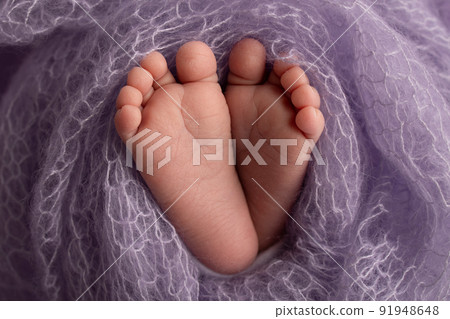 Soft feet of a newborn in a purple woolen blanket. Close-up of toes, heels and feet of a newborn baby.The tiny foot of a newborn. Studio Macro photography. Baby feet covered with isolated background. Soft feet of a newborn in a purple woolen blanket. Close-up of toes, heels and feet of a newborn baby.The tiny foot of a newborn. Studio Macro photography. Baby feet covered with isolated background. 91948648