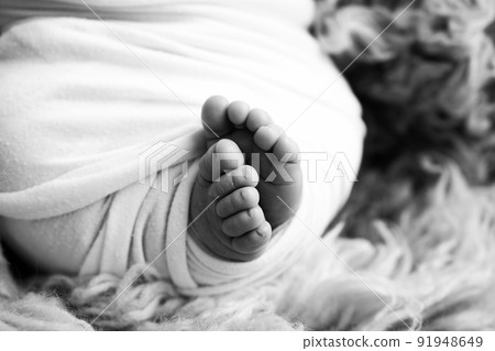 Soft feet of a newborn in a blanket Close-up of toes, heels and feet of a baby.The tiny foot of a newborn. Baby feet covered with isolated background. Black and white studio macro photography Soft feet of a newborn in a blanket Close-up of toes, heels and feet of a baby.The tiny foot of a newborn. Baby feet covered with isolated background. Black and white studio macro photography 91948649