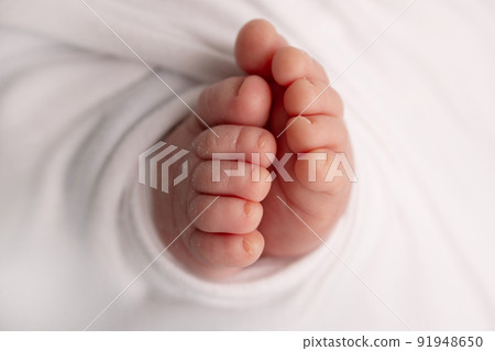 The tiny foot of a newborn. Soft feet of a newborn in a white blanket and on a white background. Close up of toes, heels and feet of a newborn baby. Studio Macro photography. Woman's happiness. 91948650