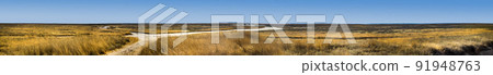 a Syvash landscape, Arabat spit, Ukraine a Syvash landscape, Arabat spit, Ukraine 91948763